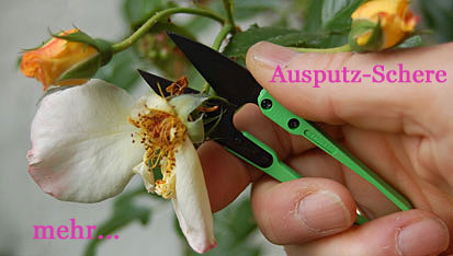 Ausputz-Schere