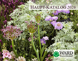 garten_katalog_bild