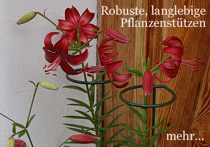 Pflanzenstuetzen