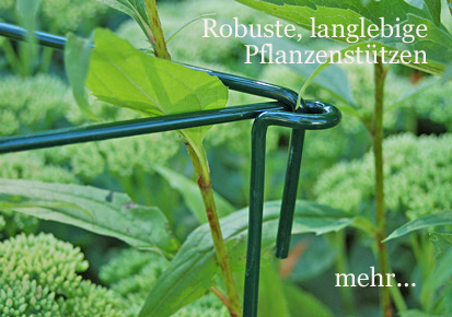 Neue Produkte