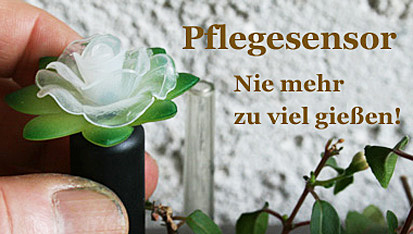Pflegesensor