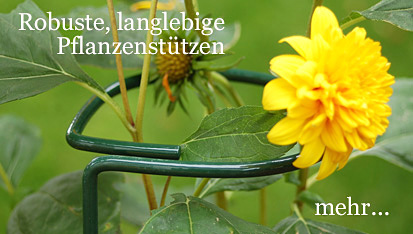 staudenhalter