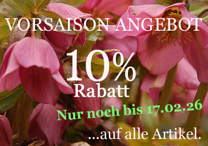 10% Rabatt bis 17.02.26