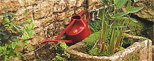 Wasserstelle