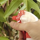 Spritzen und Düngen