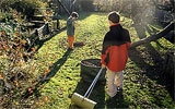 Herbstlaub zusammenkehren und kompostieren.