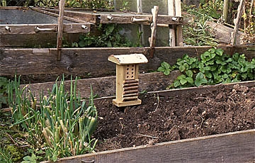 Aufräumarbeiten im Gemüsegarten.