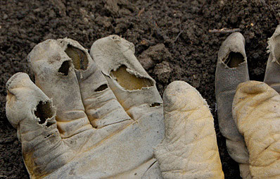 Handschuhe einkaufen.