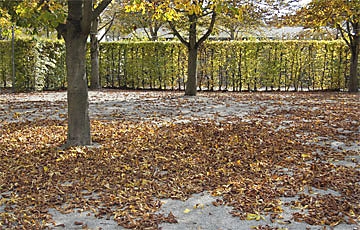 Herbstlaub zusammenkehren und kompostieren.