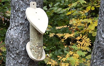 Insektenhäuser aufstellen.