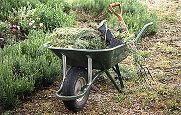 Unkrautjäten im ganzen Garten.