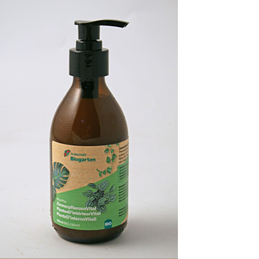 Zimmerpflanzen Vital 