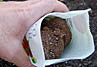 morepic-2