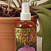 Orchideen-Spray