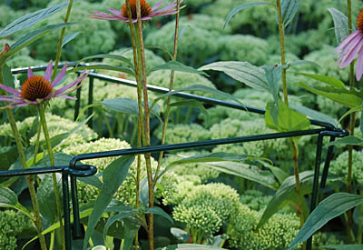 pflanztopf blau glasiert Glasierter Pflanztopf SANNE main image 0
