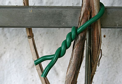 Polsterdraht GartenbedarfVersand, Richard Ward