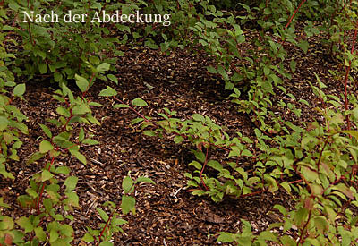 Unkrautvlies | Gartenbedarf-Versand, Richard Ward