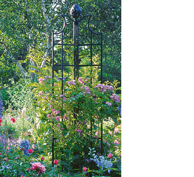 Gartenbedarf-Versand, Richard Ward | Flügel-Rankobelisk